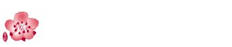 中華航空Logo 